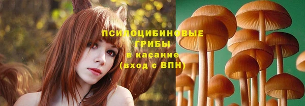 индика Заволжье