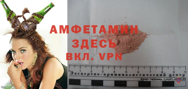 индика Заволжье