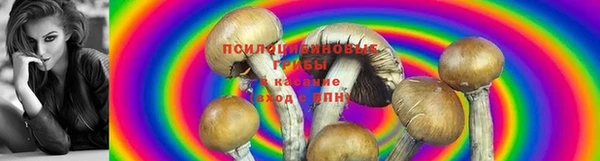 хмурый Заводоуковск