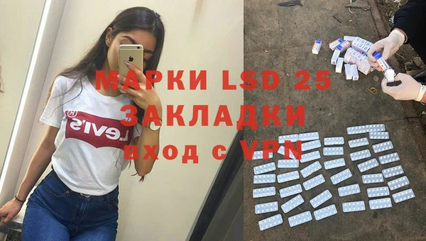 индика Заволжье