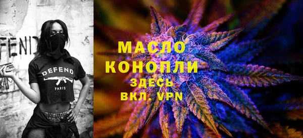 индика Заволжье