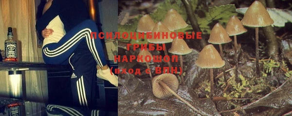 индика Заволжье