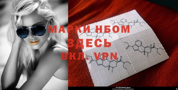 индика Заволжье