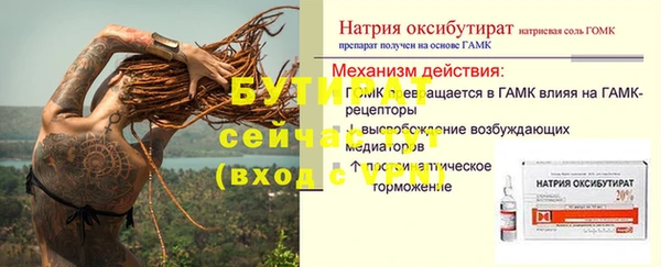 индика Заволжье