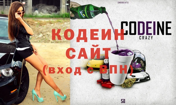 индика Заволжье