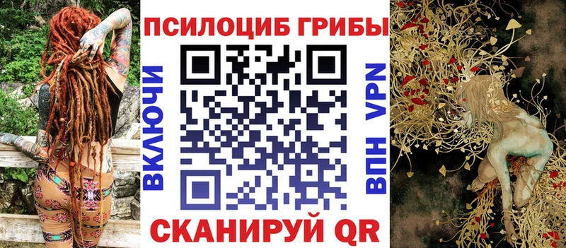 Купить закладки  Бугуруслан  Псилоцибиновые грибы MAGIC MUSHROOMS 